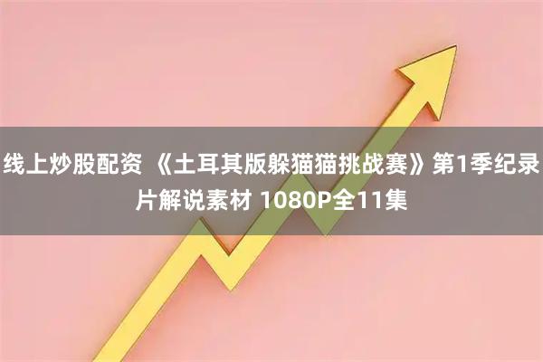 线上炒股配资 《土耳其版躲猫猫挑战赛》第1季纪录片解说素材 1080P全11集
