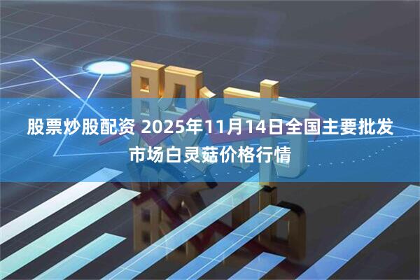 股票炒股配资 2025年11月14日全国主要批发市场白灵菇价格行情